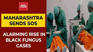 With many patients in india still. T2eheaj4tft Xm