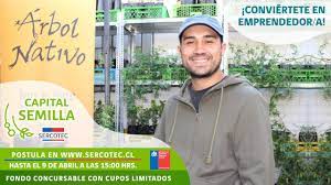 El servicio de cooperación técnica (sercotec) lanzó un nuevo plan de recursos para capital semilla, que cuenta con un novedoso proceso de postulación, que busca acortar las brechas de conocimiento entre los postulantes, con el objetivo de mejorar la focalización y transparencia del concurso. Capital Semilla 2021 Comienzan Postulaciones Para Obtener Hasta 3 500 000 Bonos 2021 Chile