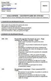 Exemples Exemples De Cv Exemple Cv Exemple Pole Emploi