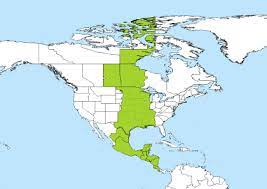 Time zone look up by state with current local times. Cst To Pst Converter Savvy Time