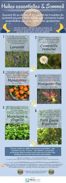 Articles A Propos De Infographies Sur La Cabane Aux Aromes De Pescalune Huiles Essentielles Huile Essentielle Sommeil Remedes Naturels