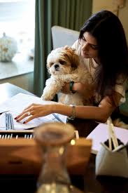 International dog day is observed annually on august 26. Zinfjsllgzeiem