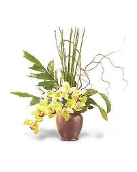 We did not find results for: Tropical Flowers Plants Delivery Seattle Wa Hansen S Florist