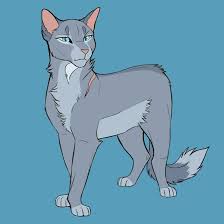 We did not find results for: Cute Anime Warrior Cats Bluestar Novocom Top