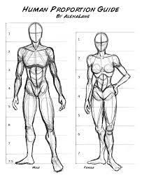 human figure proportion chart sculptue google search