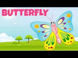 If you are asking how to pronounce the name tiara in hebrew, it's pronounced tiara. How To Pronounce Butterfly à¤¤ à¤¤à¤² Pronunciation In Hindi Insect Hd Lehren Kids Youtube