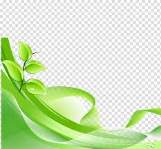green leaf background png free green leaf background png transparent images 65895 pngio