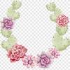 For more tips, like how to make your cactus grow better by maintaining proper soil acidity, read. 1