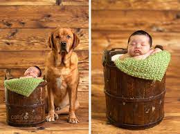 Maybe you would like to learn more about one of these? Newborn With Family Dog Photography Alhambra Photographer