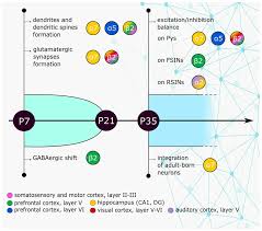 However at one point in time i did have a no cd patch to eliminate inserting. Brain Sciences Free Full Text Nicotinic Receptors In Sleep Related Hypermotor Epilepsy Pathophysiology And Pharmacology Html