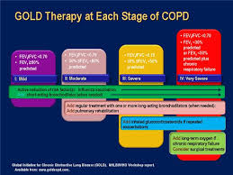 Image result for COPD Staging