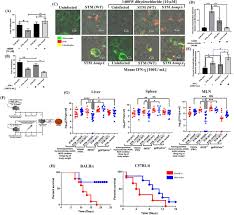 Units cannot be assigned to variables in the equations window. Salmonella Typhimurium Outer Membrane Protein A Ompa Renders Protection Against Nitrosative Stress By Promoting Scv Stability In Murine Macrophage Biorxiv