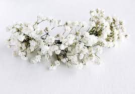 Baby 39 S Breath Hair Vine Rustic Head Piece Dried Flower Hair Vine Boho Head Piece Flower Hair Vine Babys Breath Hair White Flower Combs Boho Bridal Hair