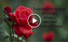 Untuk perempuan yang ada dalam pelukan. Video Kata Kata Cinta Untuk Pacar Romantiss Fur Android Apk Herunterladen
