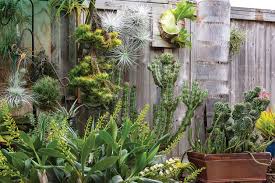 Garden center in san diego, california. This Ever Evolving Garden Is An Air Plant Paradise San Diego Home Garden Lifestyles