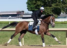 Belmont Notes: Journalism Might Make Return Trip To Saratoga This Summer