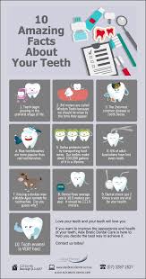 We send trivia questions and personality tests every week to your inbox. 10 Amazing Facts About Your Teeth Alex Bratic Dental Care