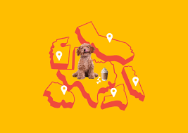 Anchorage animal care and control in anchorage, ak has pets available for adoption. The Most Pet Friendly Restaurants In Every State