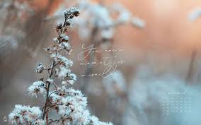 Desktop hintergrundbilder · 4k · mobile wallpaper · dunkel · hd wallpaper. Free Wallpapers Discover New Designs Every Month Jo Judy