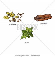 Cinnamon rolls set in cartoon style vector illustration. Vector Flat Cartoon Vector Photo Free Trial Bigstock
