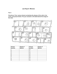 What are the worksheets for mitosis and meiosis? Lab Report Meiosis Advanced Academics