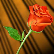 Reviews there are no reviews yet. Bunga Cinta Daun Gambar Gratis Di Pixabay