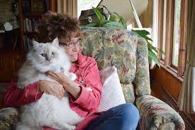 Search boat rentals on minnetonka. Meet The Woman At The Center Of The Lake Minnetonka Dock Controversy Lake Minnetonka News Swnewsmedia Com