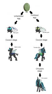 This is my own little changeling warrior and former queen of her own little swarm. Mlp Headcanon Changelings By Deoix Fur Affinity Dot Net
