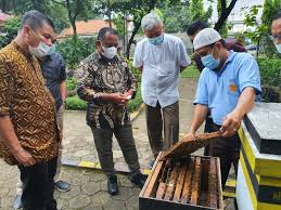 Hari ini sedang panas panjang, kacang telah lupakan kulitnya. Potensi Budidaya Lebah Australi Dilirik Pemkab Kampar Untuk Dijadikan Usaha Masyarakat Pemerintah Kabupaten Kampar