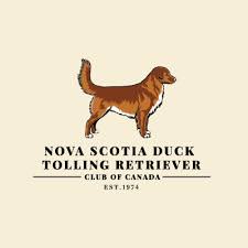 It is often referred to as a toller. Nova Scotia Duck Tolling Retriever Club Of Canada Nsdtrcc