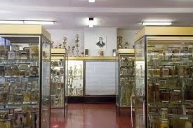 Musee Dupuytren Paris France Paris France Paris Travel