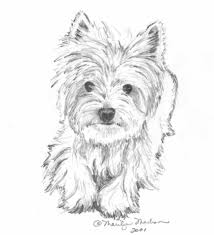 Yorkie Sketch At Paintingvalley Com Explore Collection Of Yorkie Sketch Check out our yorkie sketch selection for the very best in unique or custom, handmade pieces from our shops. painting valley
