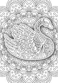 Coloring pages are no longer just for children. Printable Coloring Book Page For Adults Stock Vector Illustration Of Colouring Bird 74673289