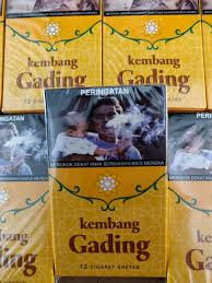 We did not find results for: Jual Rokok Kembang Gading Kembang Tebu Kretek Ecer Dan Grosir Di Lapak Toko 9 Ciamis Bukalapak