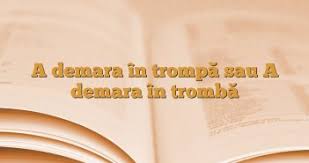 Aţi se scrie fără cratimă doar în situația în care ajută la formarea timpului perfect compus, ca în exemplele de mai jos: Cum E Corect A Èi Sau AÈi AnideÈcoalÄ Ro