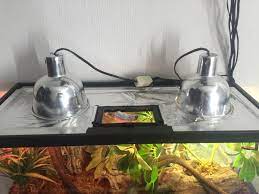 Humidity in their native range is between 55% to 70%, but it can spike to over 80% in the morning. Flooded Tank While Trying To Keep Humidity