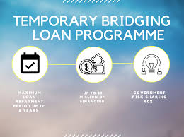 Covid 19 List Of Singapore Govt Grants For Small Business Owners