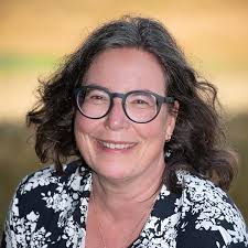 Lichter im Advent: Der etwas andere Adventskalender : Bischoff, Marion,  Schmid, Gabi, Bischoff, Marion, Gabi, Schmid, Grashoff, Tina, Schwark,  Marci, Geist, Waltraud E., Danner-Schmidt, Barbara, Herzog, Pia-Sophie,  Heubisch, Bhavya, Hahnenberg, Ursula ...