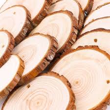 We used them in summer camp for necklaces. 30 Pcs Natural Wood Slices Craft Wood Kit Unfinished Etsy Wood Slice Crafts Wood Crafts Diy Wood