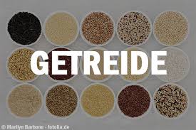 Couscous dinkel erfahrung die hochwertigsten couscous dinkel unter die lupe genommen! Getreide Getreideprodukte Proteine Nahrwerte Je 100 Gramm