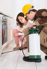 Pest infestations of any kind are just no laughing matter. 24 7 Pest Control Nyc 1 Nyc Exterminators Best Nyc 247 Pest Control Near Me Search Nyc Pest Exterminators Near Me Best Pest Control In Nyc 247 Nyc Pest