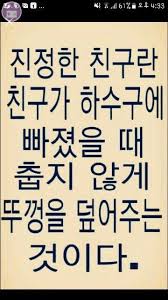 웃긴 사진에 있는 핀