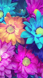 You can download free flower vector in.ai and.eps format. Iphone Colorful Flower Wallpaper