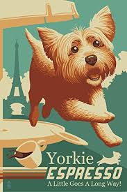 Free delivery and returns on ebay plus items for plus members. Yorkshire Terrier Retro Yorkie Espresso Ad 9x12 Collectible Art Print Wall Decor Travel Poster Pricepulse