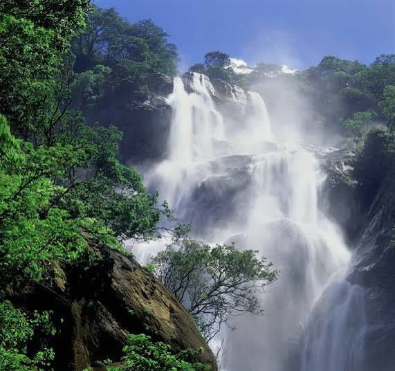 Udzungwa Trekking