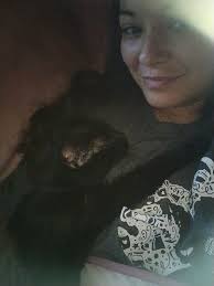 Lost black cat with orange eyes in Parchment near Geno's pizza