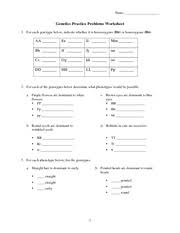 Genetics practice problems worksheet answer key. Genetics Practice Problems Name Genetics Practice Problems Worksheet 1 For Each Genotype Below Indicate Whether It Is Heterozygous He Or Homozygous Ho Course Hero