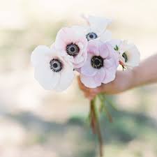 Opens in 4 h 33 min. Tips For Starting A Cut Flower Garden Springvalefloral Com