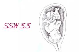 Schwangerschaftswoche ✓ entwicklung mutter & baby in der 33. Schwangerschaftswoche 33
