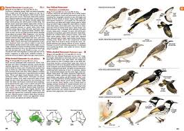 The Australian Bird Guide A Review 10 000 Birds